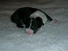 Anouk 1st Week